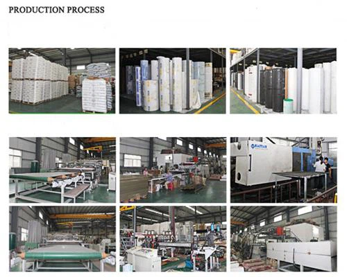 Polycarbonate private carport17