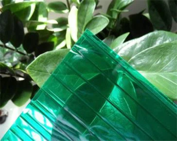ورقة جوفاء البولي الأخضر